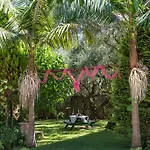 Ktima Kourou *