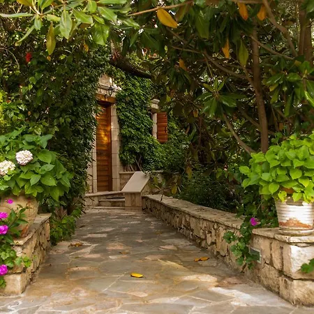 Ktima Kourou Landsted Plános